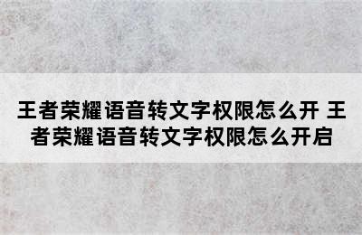 王者荣耀语音转文字权限怎么开 王者荣耀语音转文字权限怎么开启